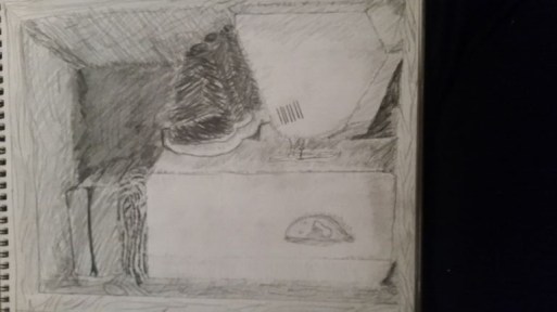 this is not an overlocker